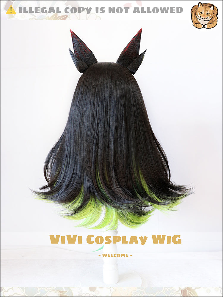 Back view displaying color transition and hair texture