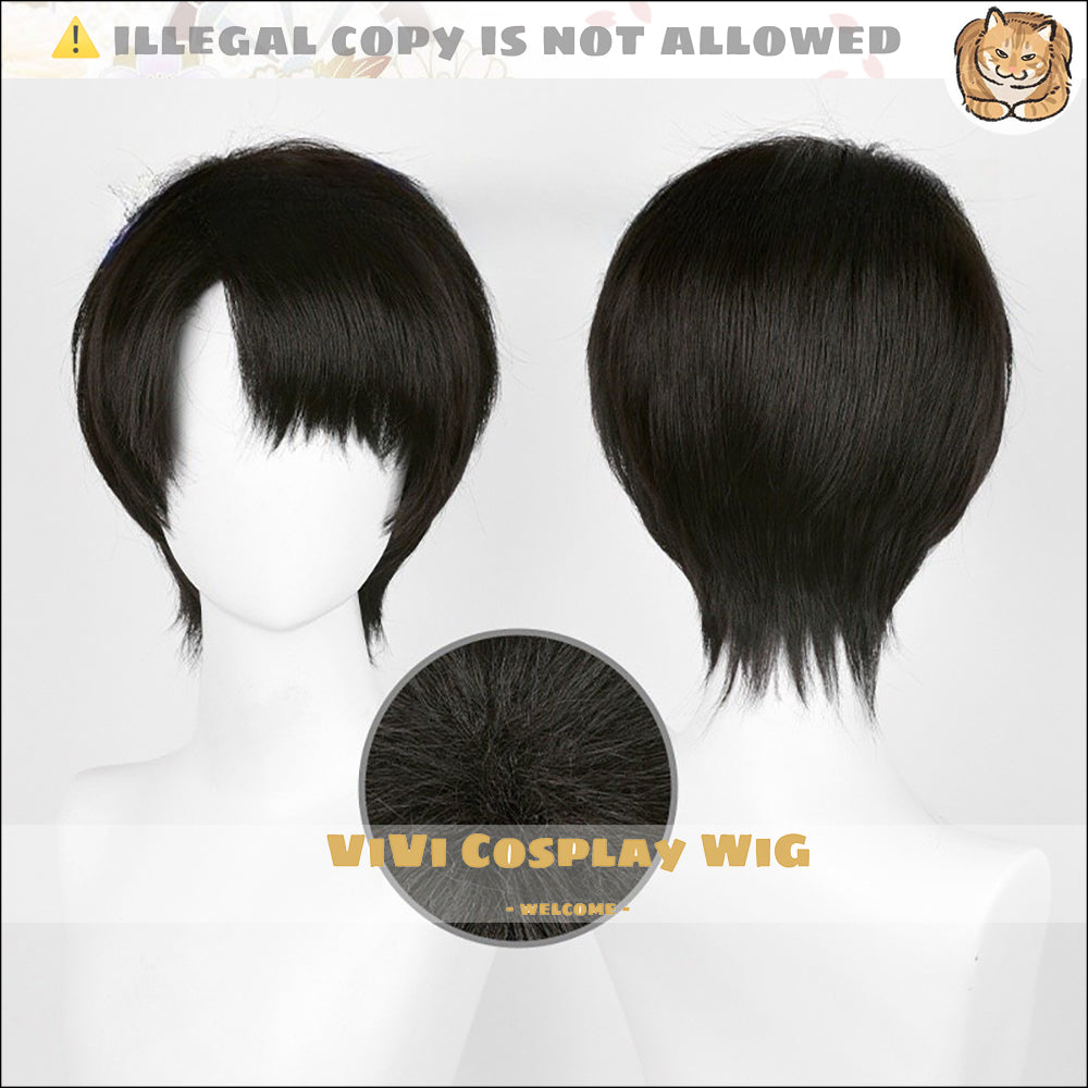 Attack on Titan Levi Ackerman Natural Black Cosplay Wig