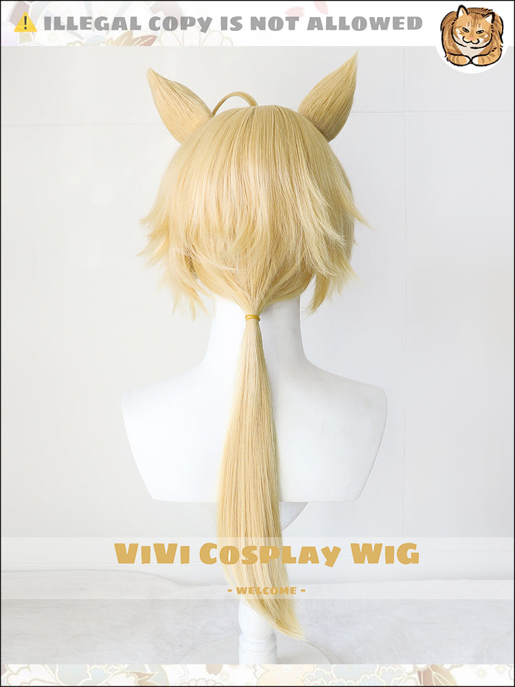 Back view demonstrating hair texture and volume for male cosplay