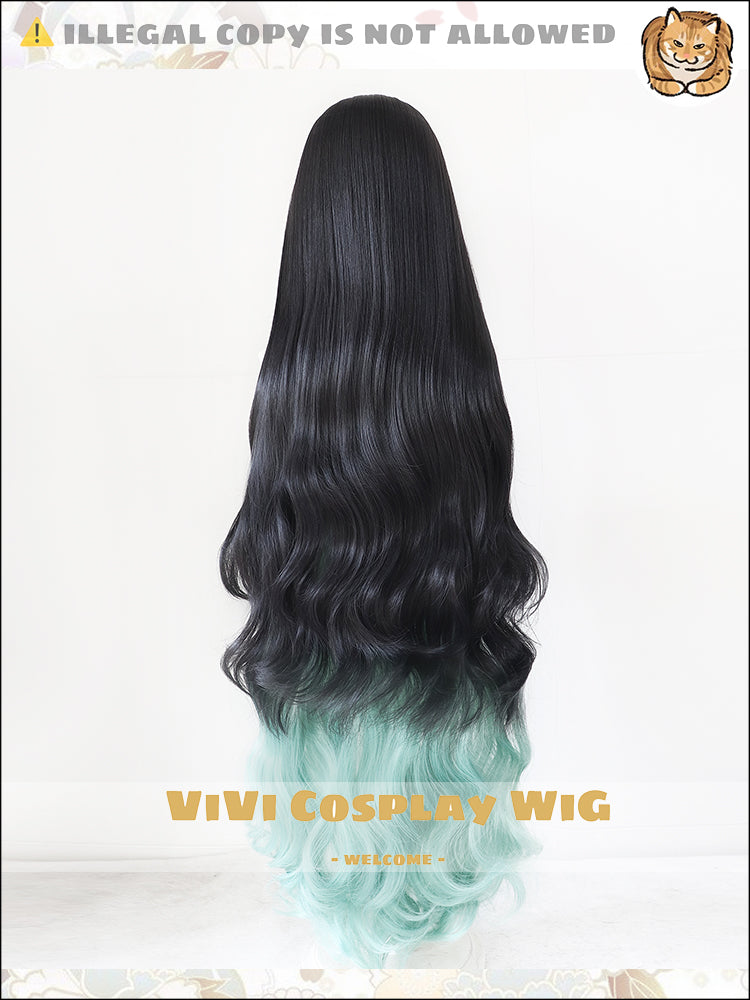 Back view demonstrating ombre color transition
