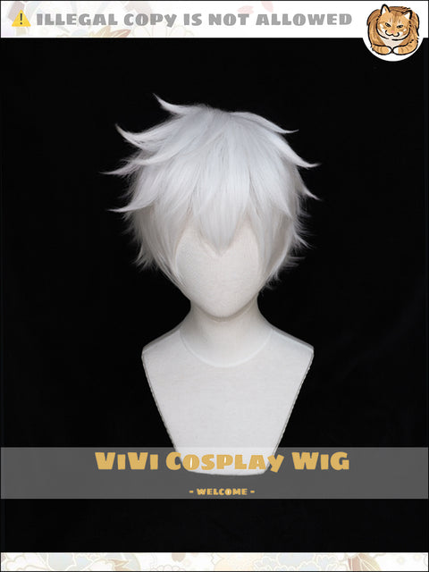 Anime Wigs